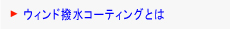 ウィンド撥水コーティングとは